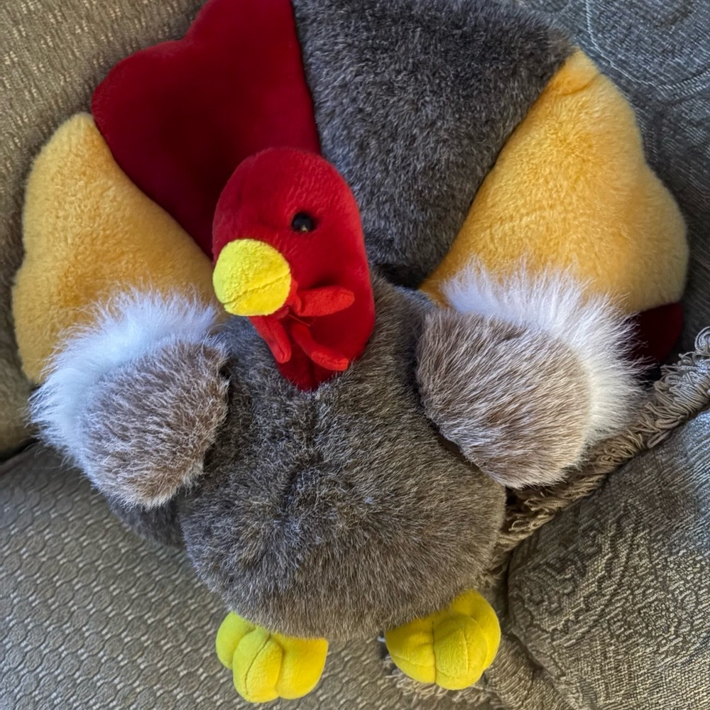 Thanksgiving Turkey - People Pals